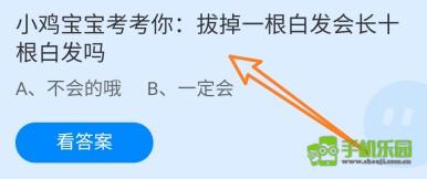 蚂蚁庄园2024年11月14日的最新答案是什么呢？